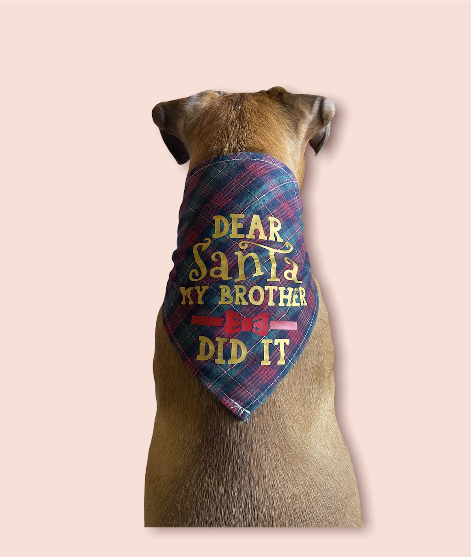 Dear Santa (image for) Dear Santa