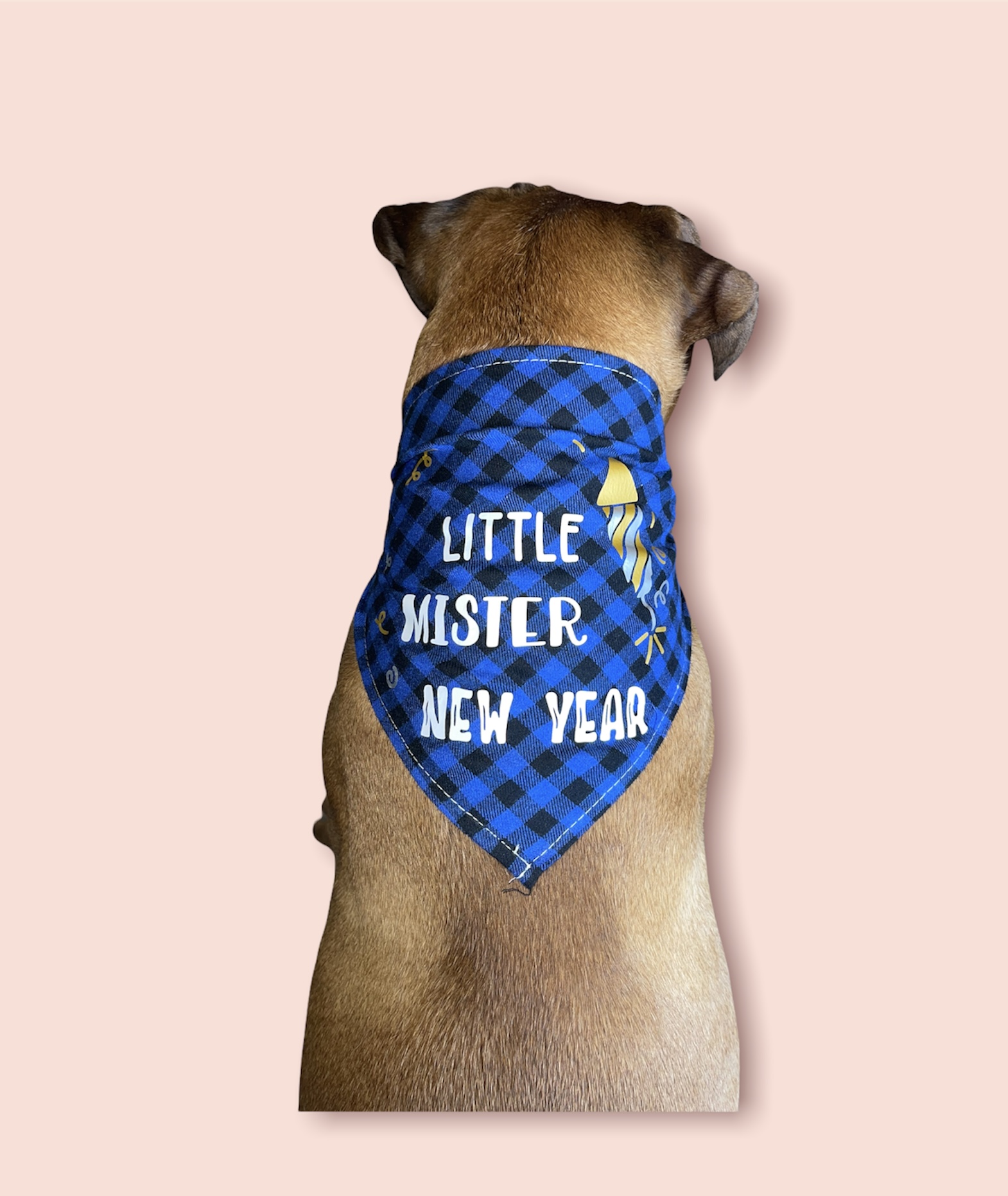 (image for) Dog Bandanas